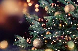 O Tannenbaum (O Christmas Tree)