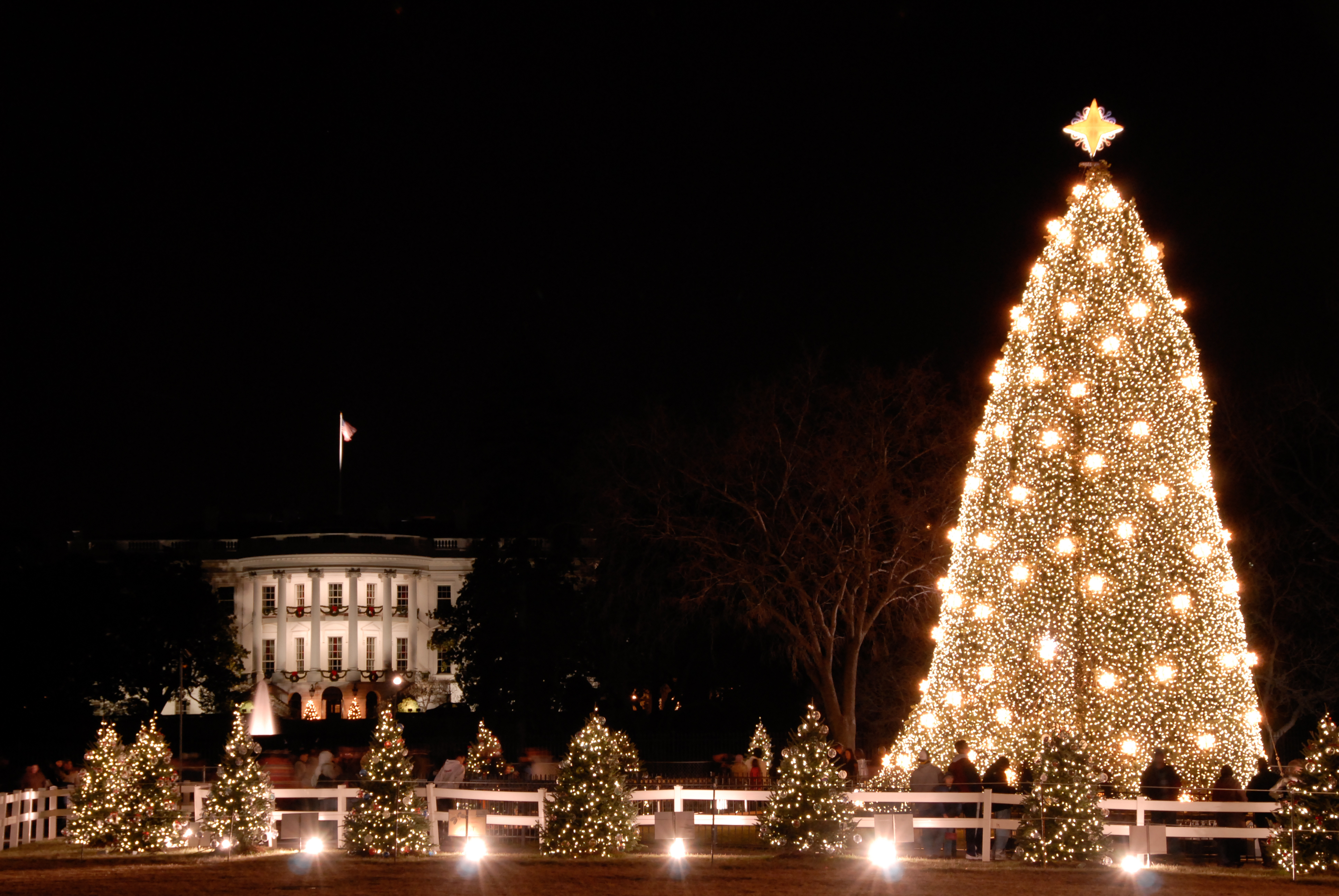 Christmas Trees: A Well Decorated History โ Christmas HQ