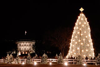 The National Christmas Tree on the White House ellipse south.