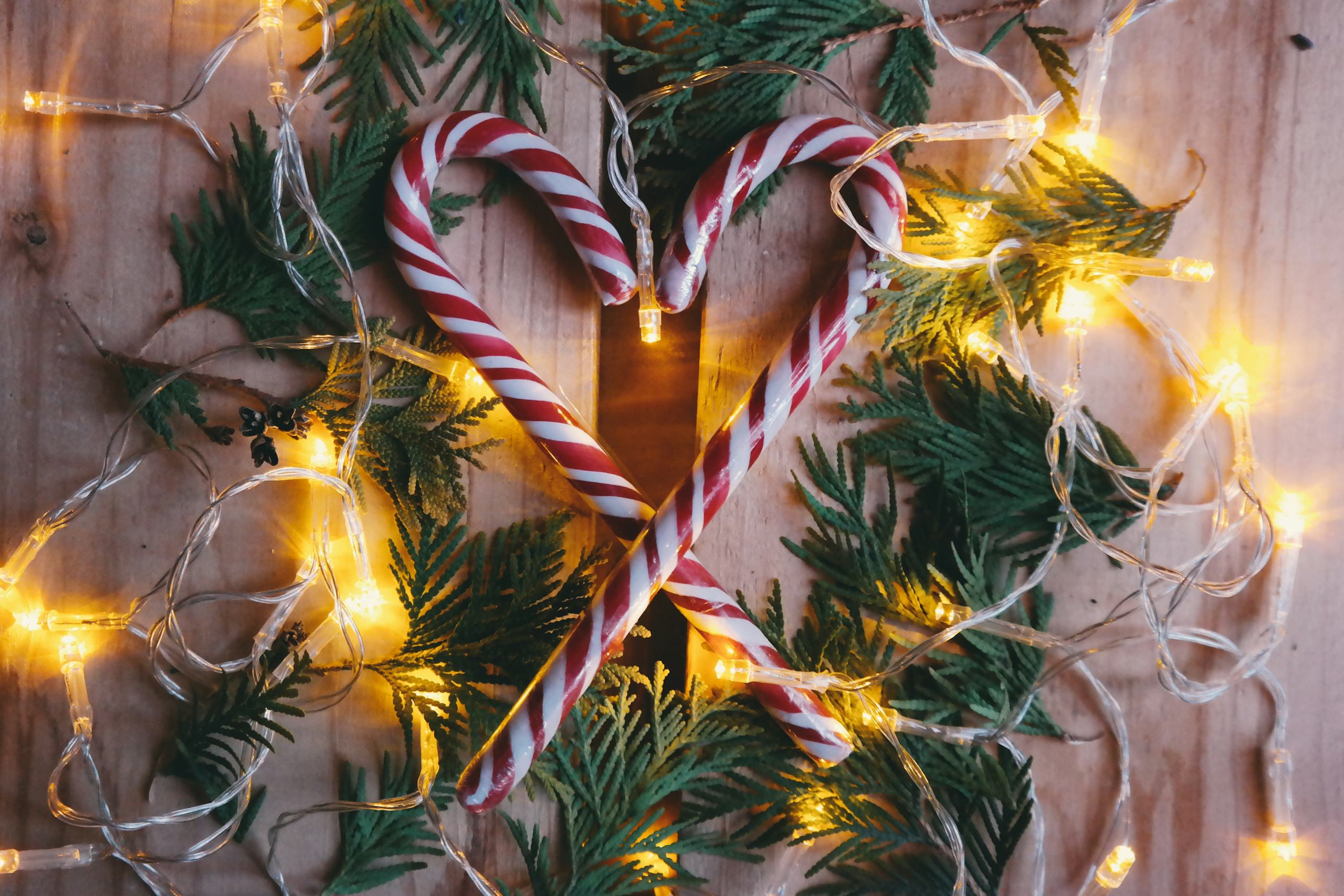 Candy Canes and Lights Image (Free) Christmas HQ