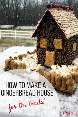 Bird seed gingerbread house (image via Wilder Child).